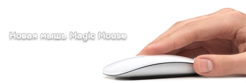 Новая мышь Magic Mouse